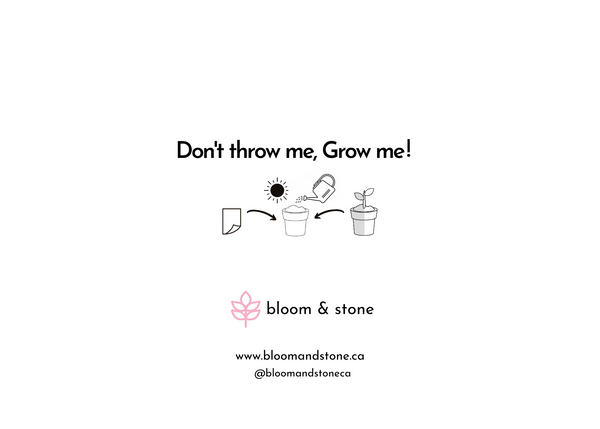 Back of seed paper greeting card says "Don't throw me, Grow me!" with images describing growing process and contact info
