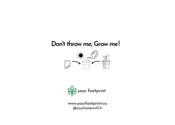 Plantable seed paper card back of card "Don't throw me, Grow me!", planting instructions, website address and social media handles.