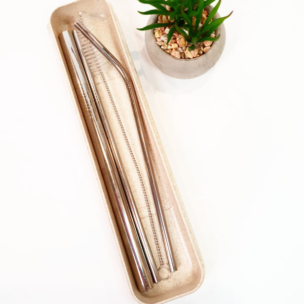 Hard wheatstraw case open with three stainless steel straws and straw brush next to succulent pot.